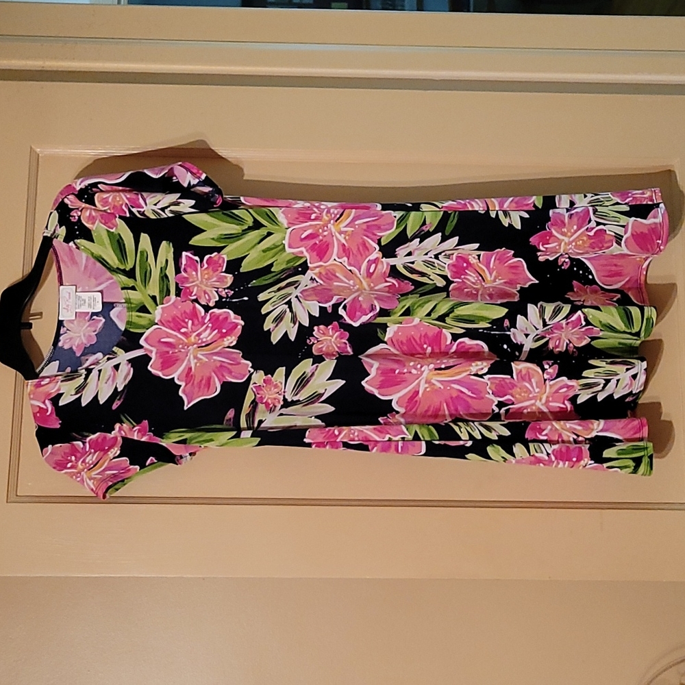 Ivy Toad pullover dress